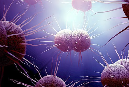 Gonorrhea In Women