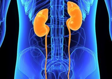 Thinking of Donating a Kidney? New Data Shows It's Safe