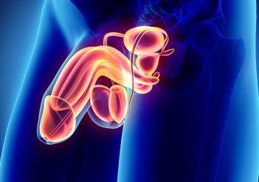 Where Do You Aspirate Priapism?