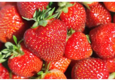 Strawberries Linked to Hepatitis Outbreak, FDA Warns