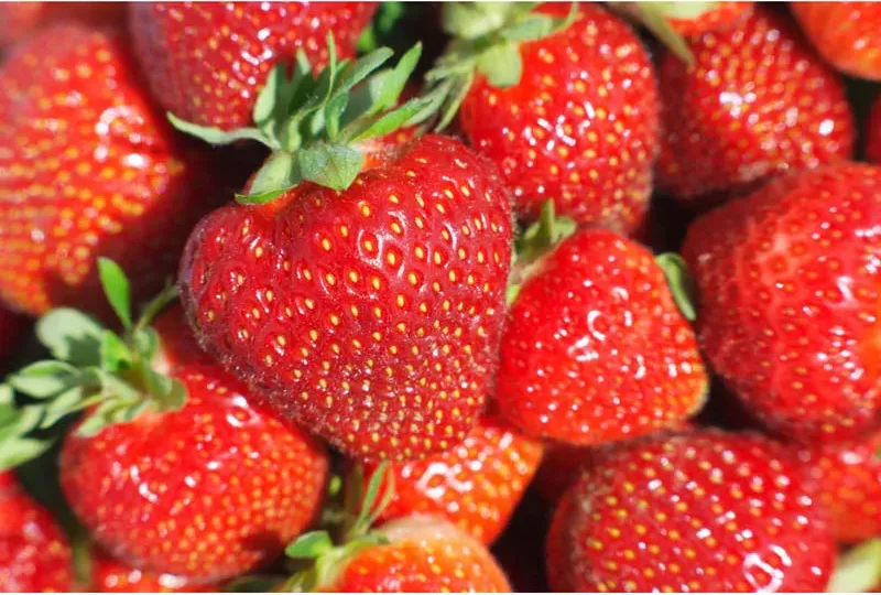 Strawberries Linked to Hepatitis Outbreak, FDA Warns