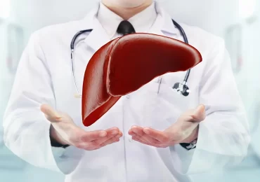 Your Liver Is Just 3 Years Old