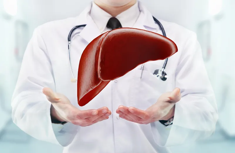 Your Liver Is Just 3 Years Old