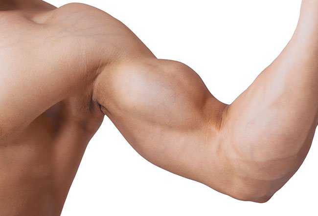 Biceps vs. Triceps: What's the Difference?