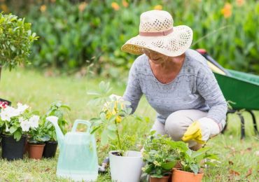 Gardening Can Blossom Into Better Mental Health