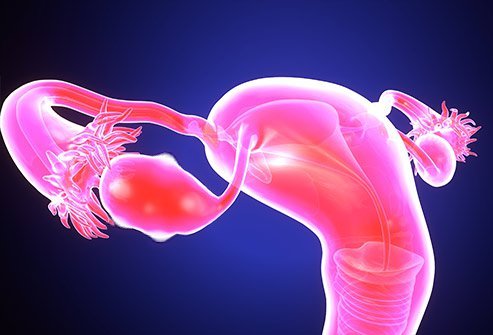 How Do I Know if I Have an Ovarian Cyst or Tumor