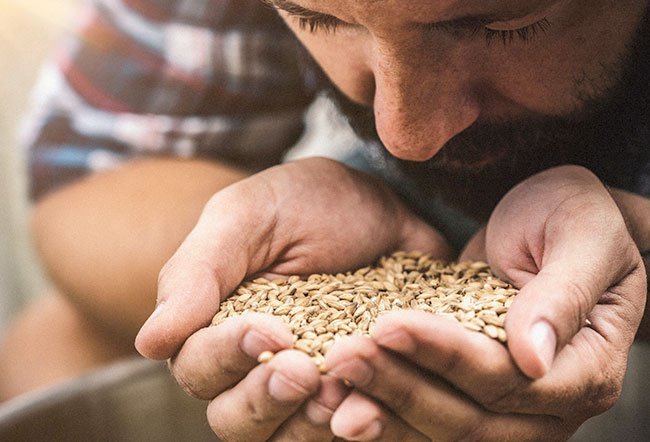 Is Barley Gluten-Free?