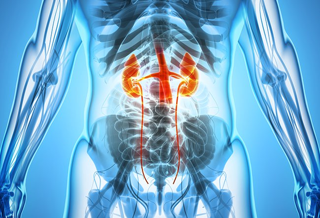 What Is the Best Kidney Disease Treatment?